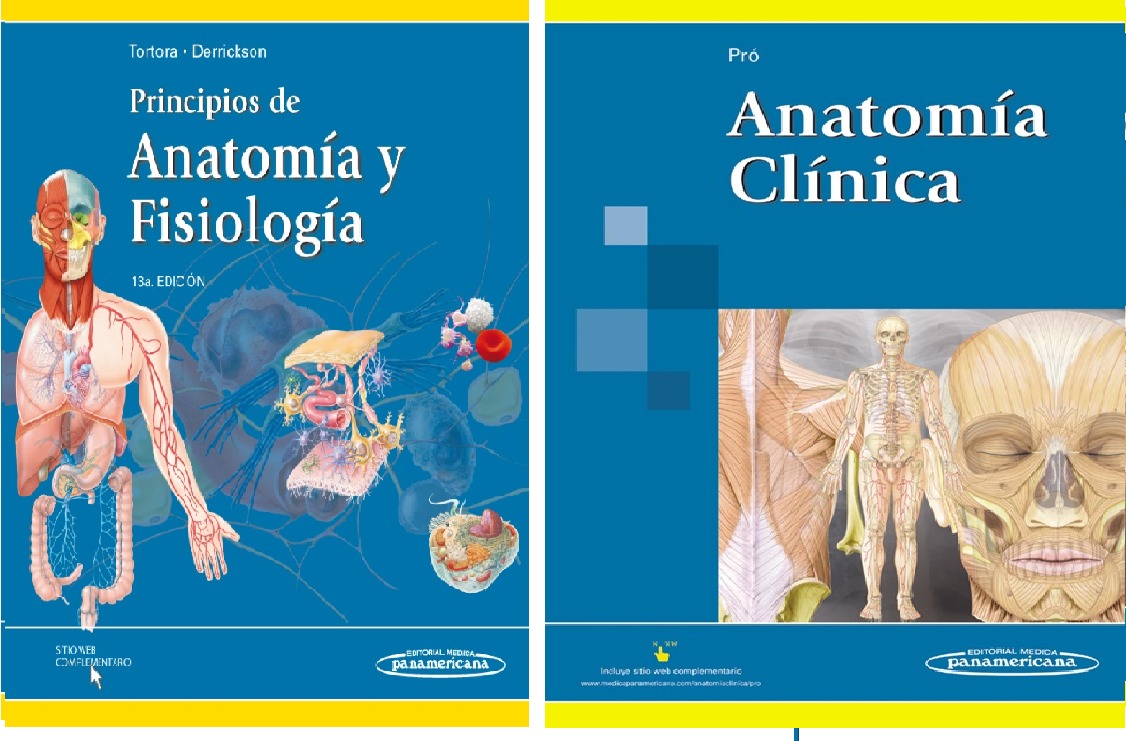 anatomia y fisiologia humana pdf